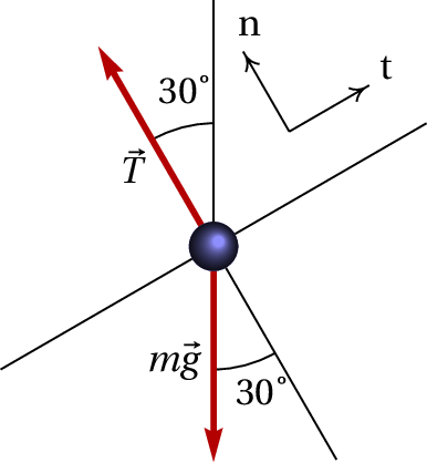 Forces in the simple pendulum