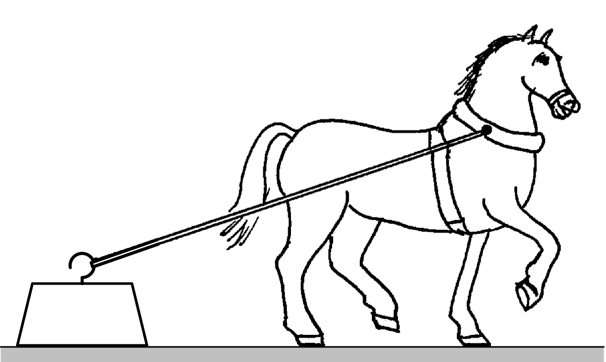 Horse dragging a stone
