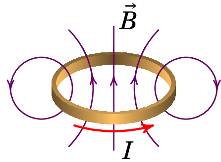 Campo magnético de uma espira ou bobina circular.