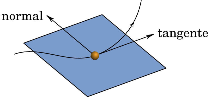 Direções tangencial e normal à trajetória de uma
partícula.
